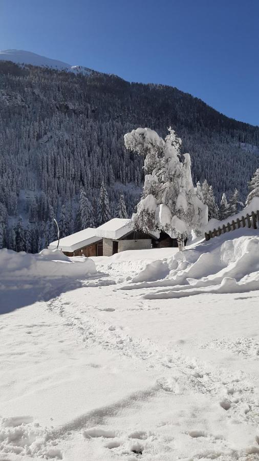 Pension Fuerhapter Mit Bio- Bauernhof Sankt Jakob in Defereggen Exterior photo